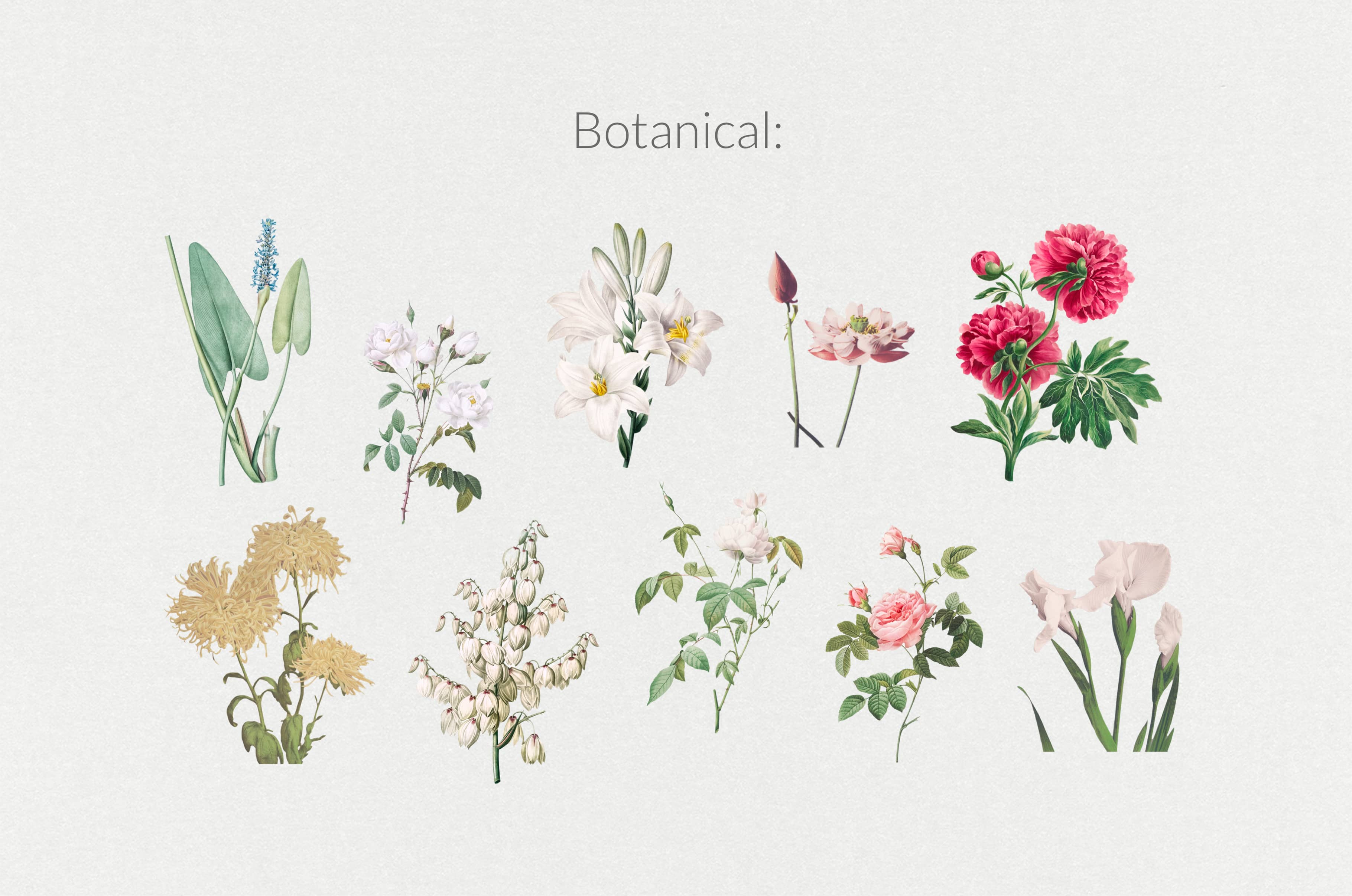 The Minimalist Collage Creator