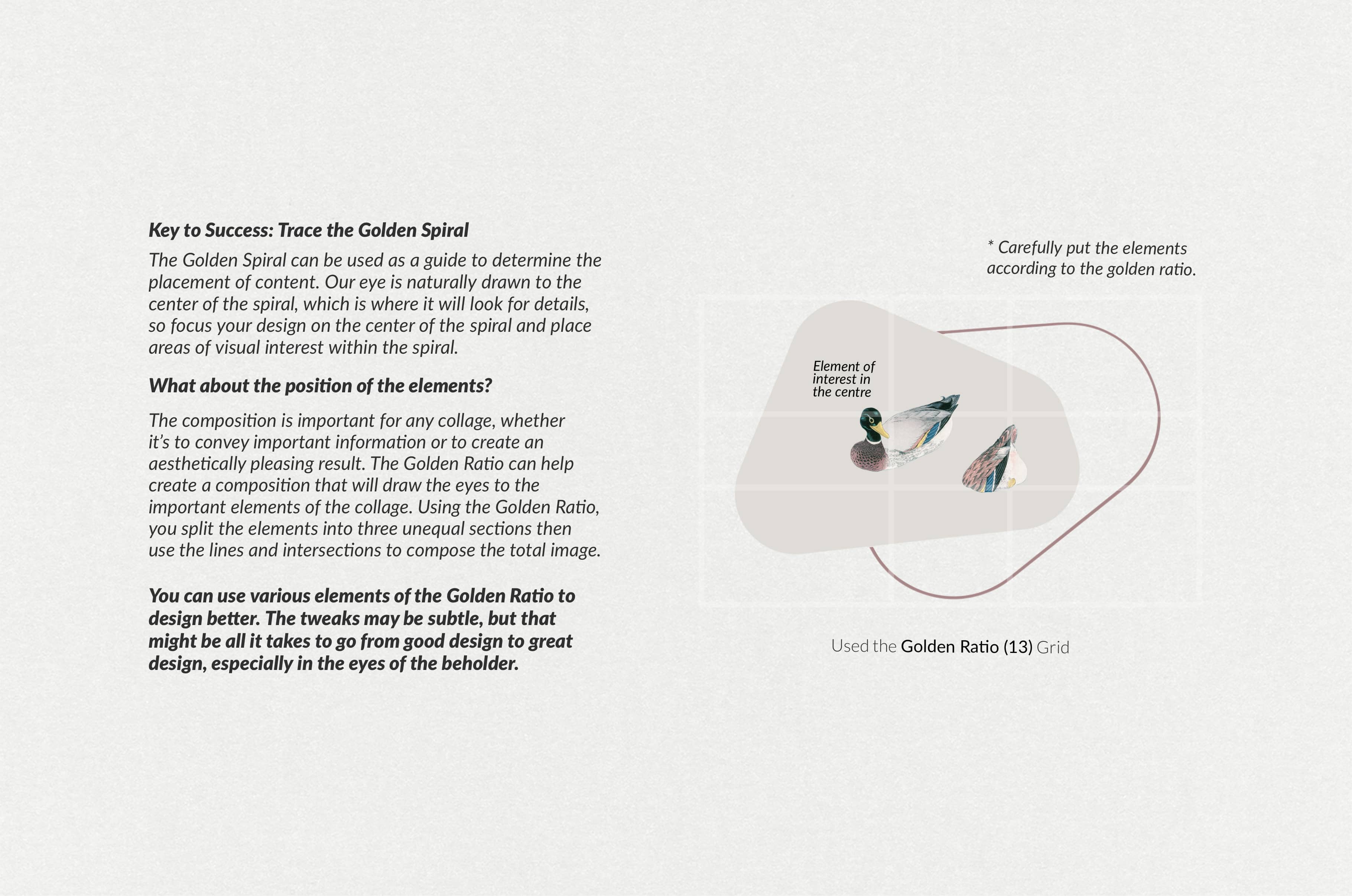 The Minimalist Collage Creator