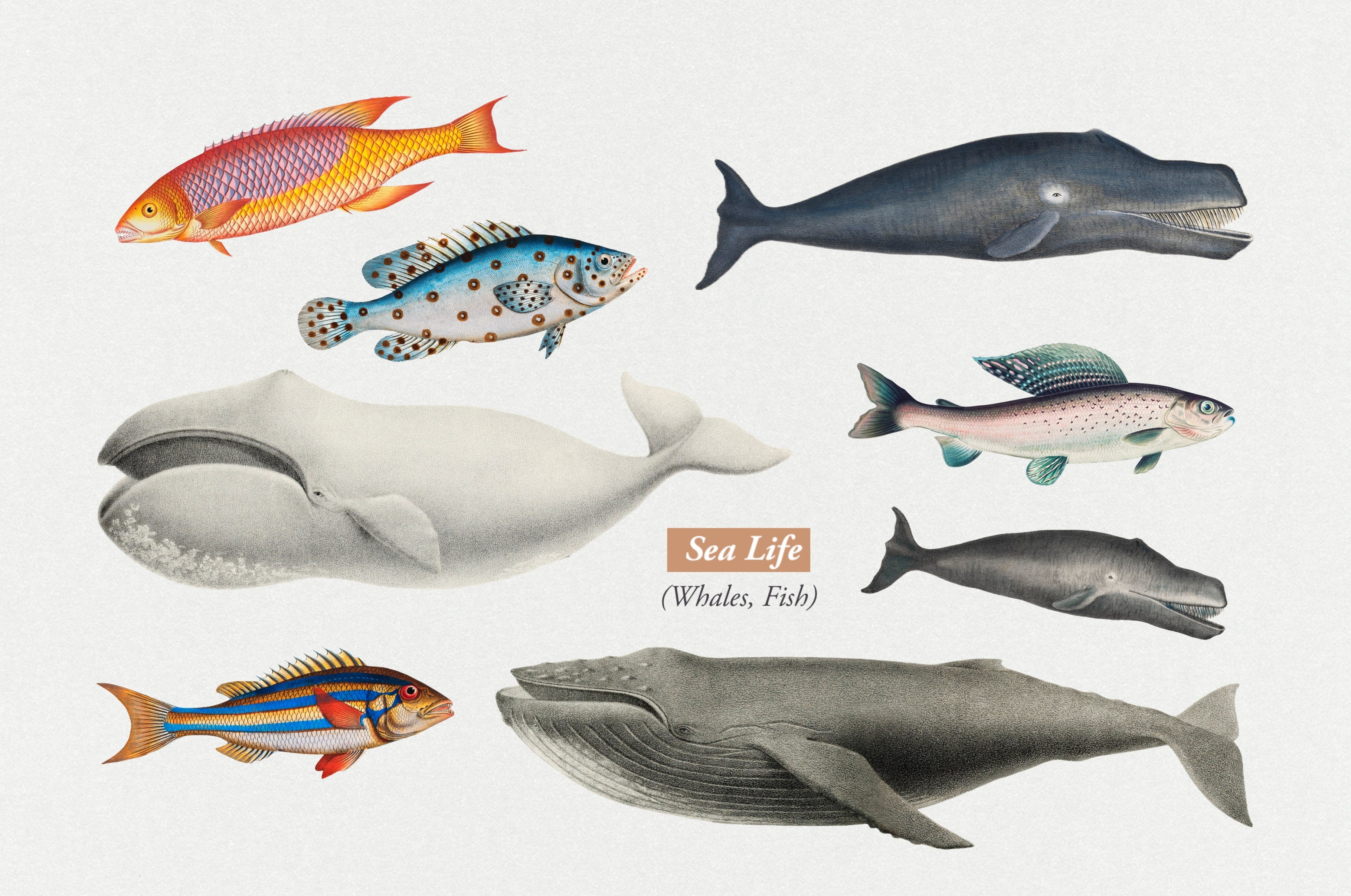 The Vintage Collage Creator - Childhood Memories