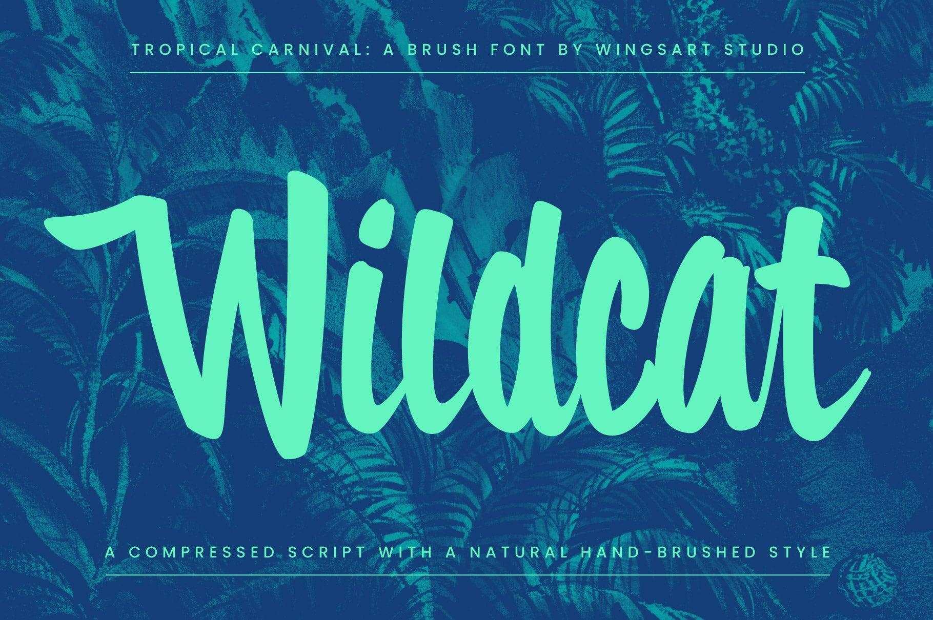 Tropical Carnival: A Sunny Brush Script Font