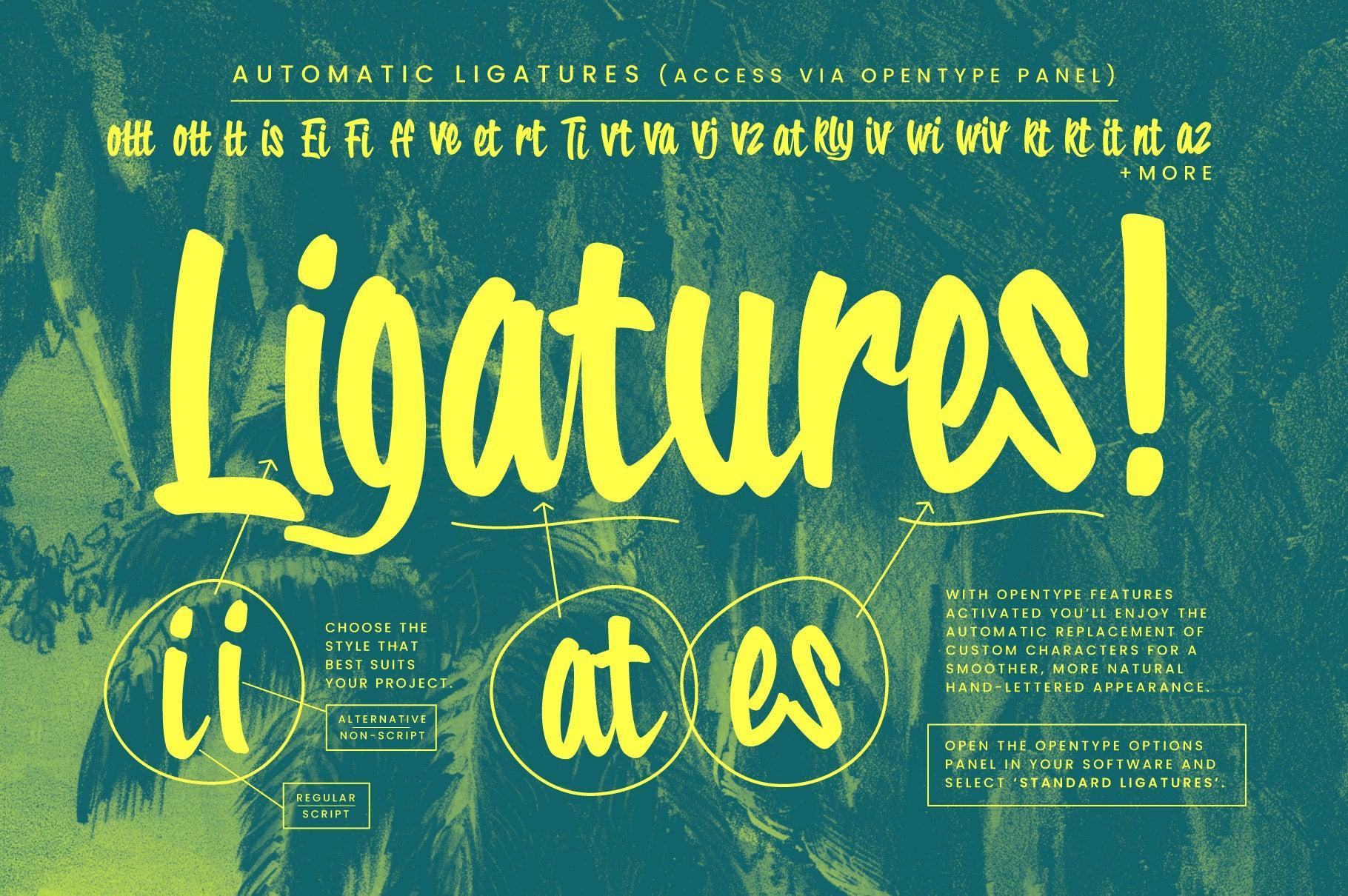 Tropical Carnival: A Sunny Brush Script Font