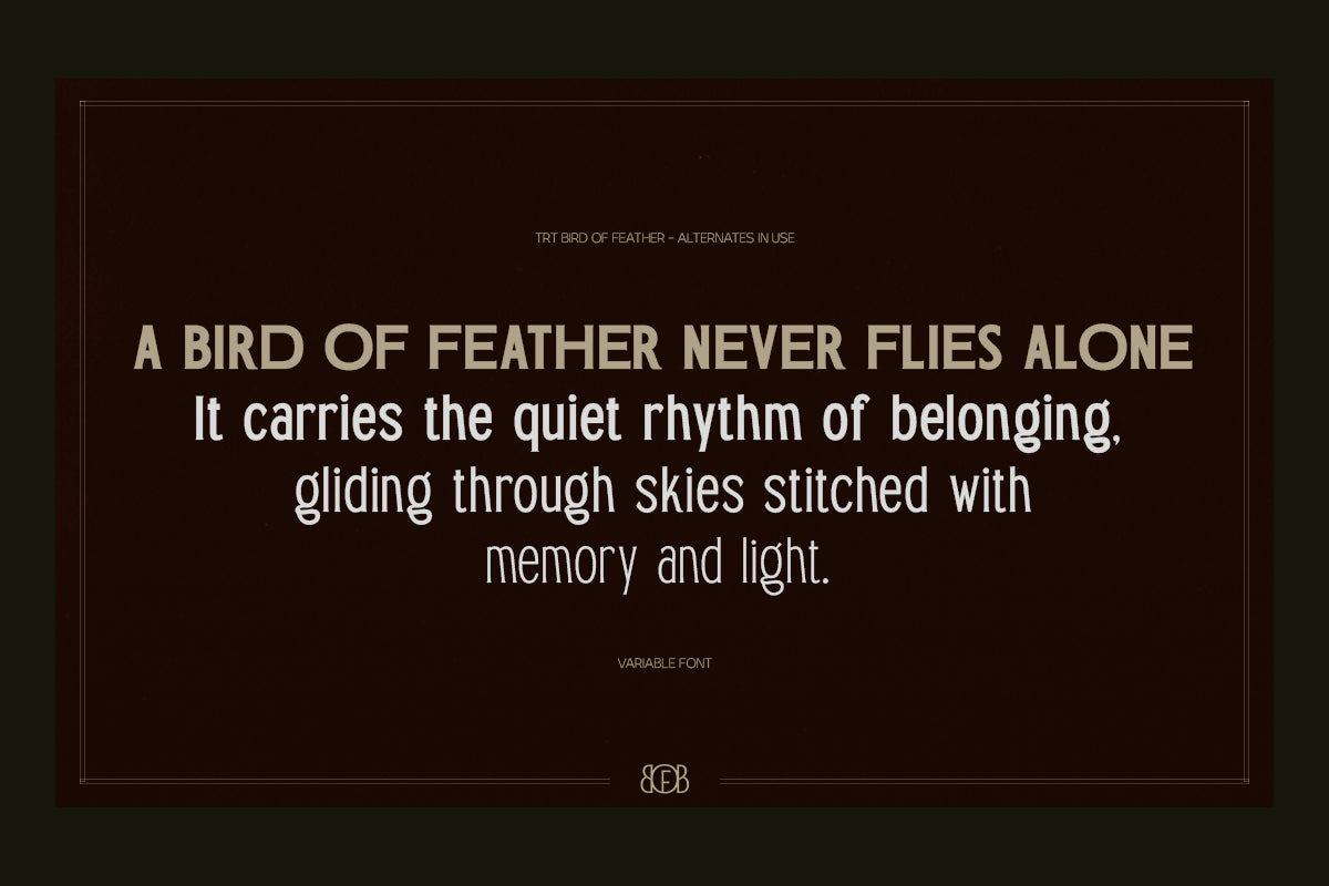 trt-bird-of-feather-elegant-serif-typeface-unknown-creator-5.png