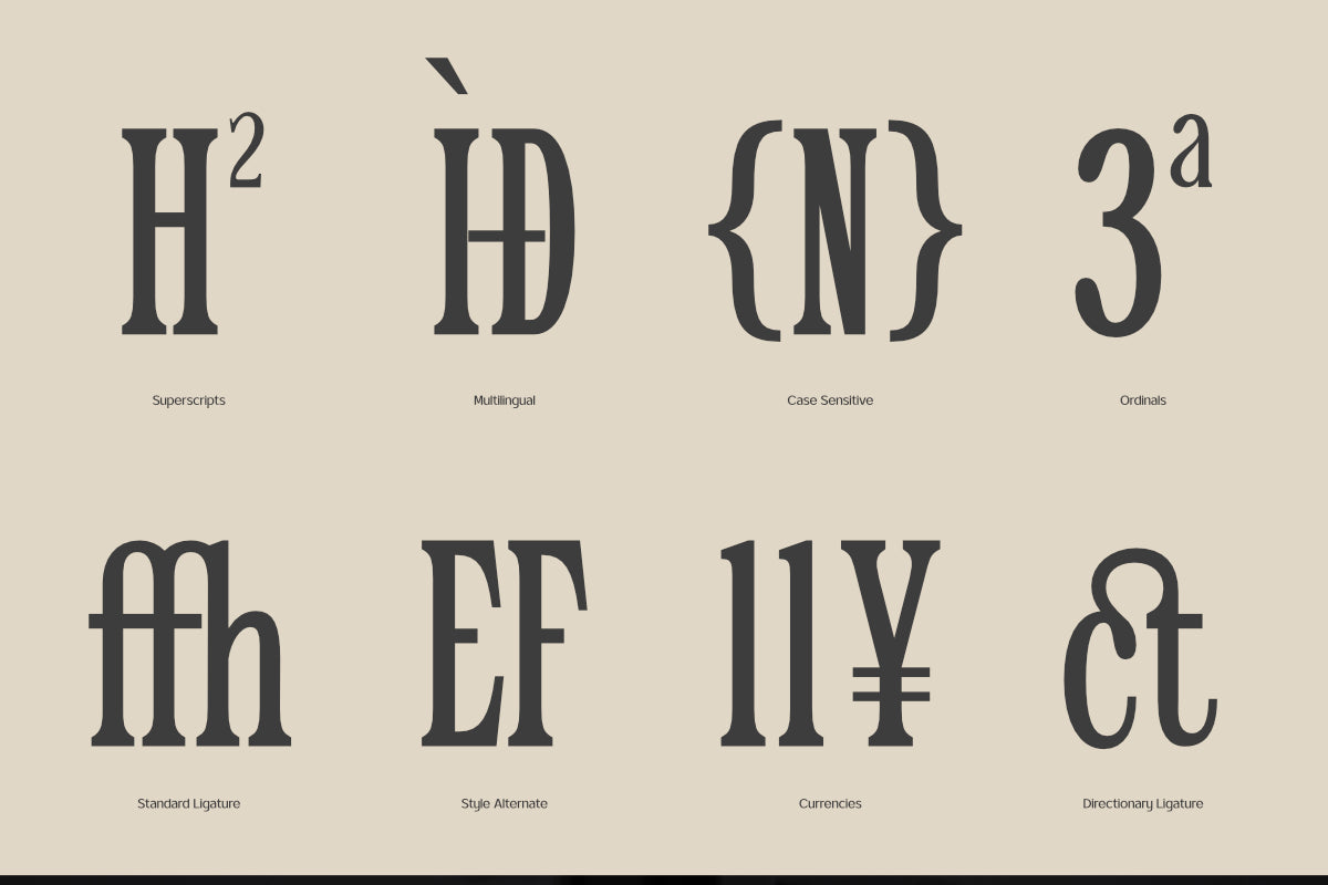 trt-epic-dope-elegant-condensed-serif-true-type-lab-5.png