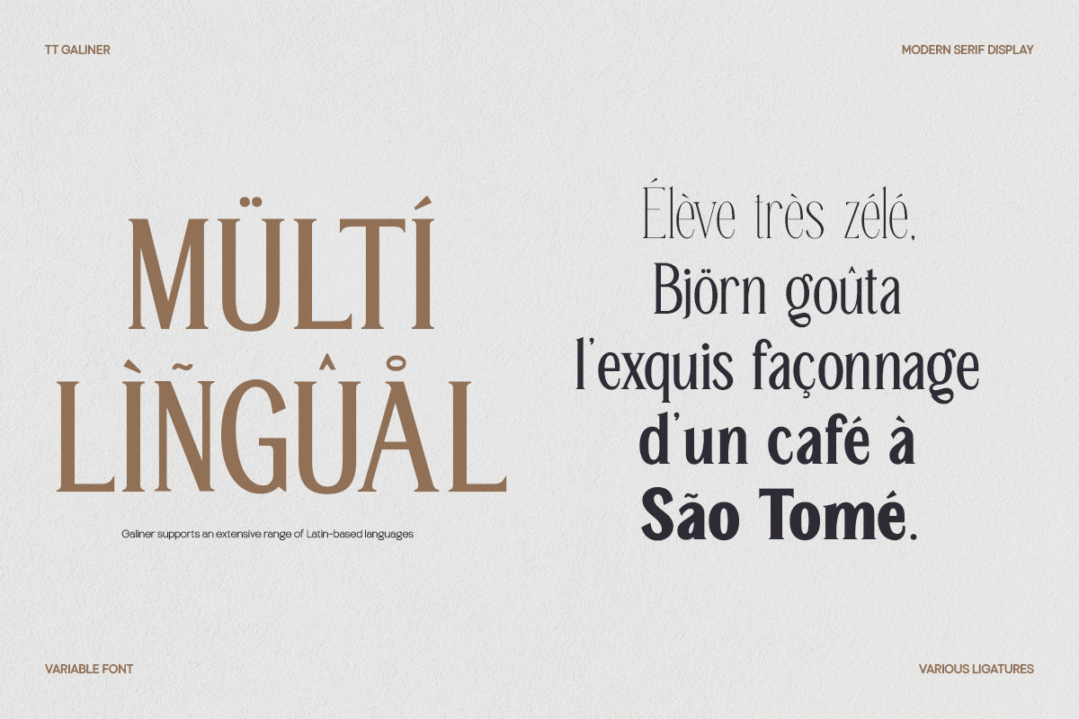trt-galiner-timeless-elegance-serif-unknown-creator-15.jpg