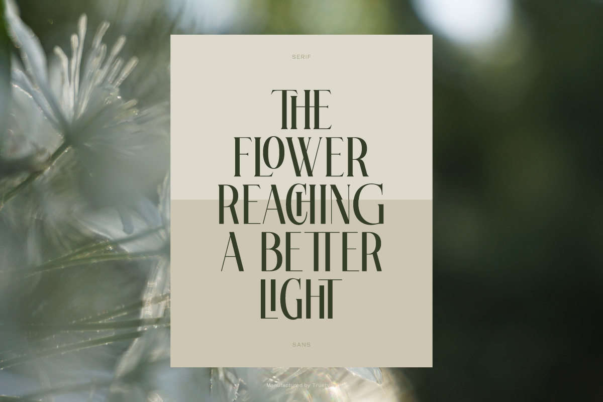 trt-glanore-elegant-serif-sans-duo-unknown-creator-6.png