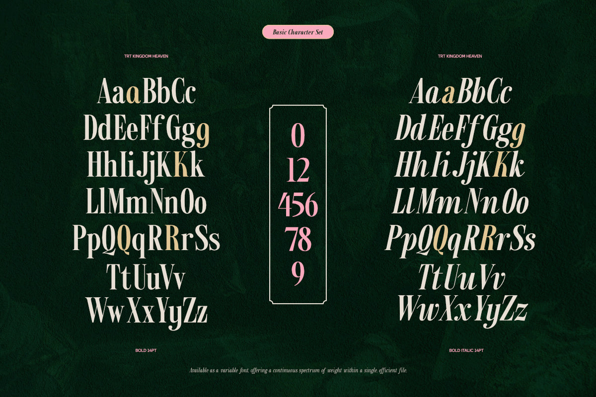 trt-kingdom-heaven-serif-family-with-true-italic-unknown-creator-6.png