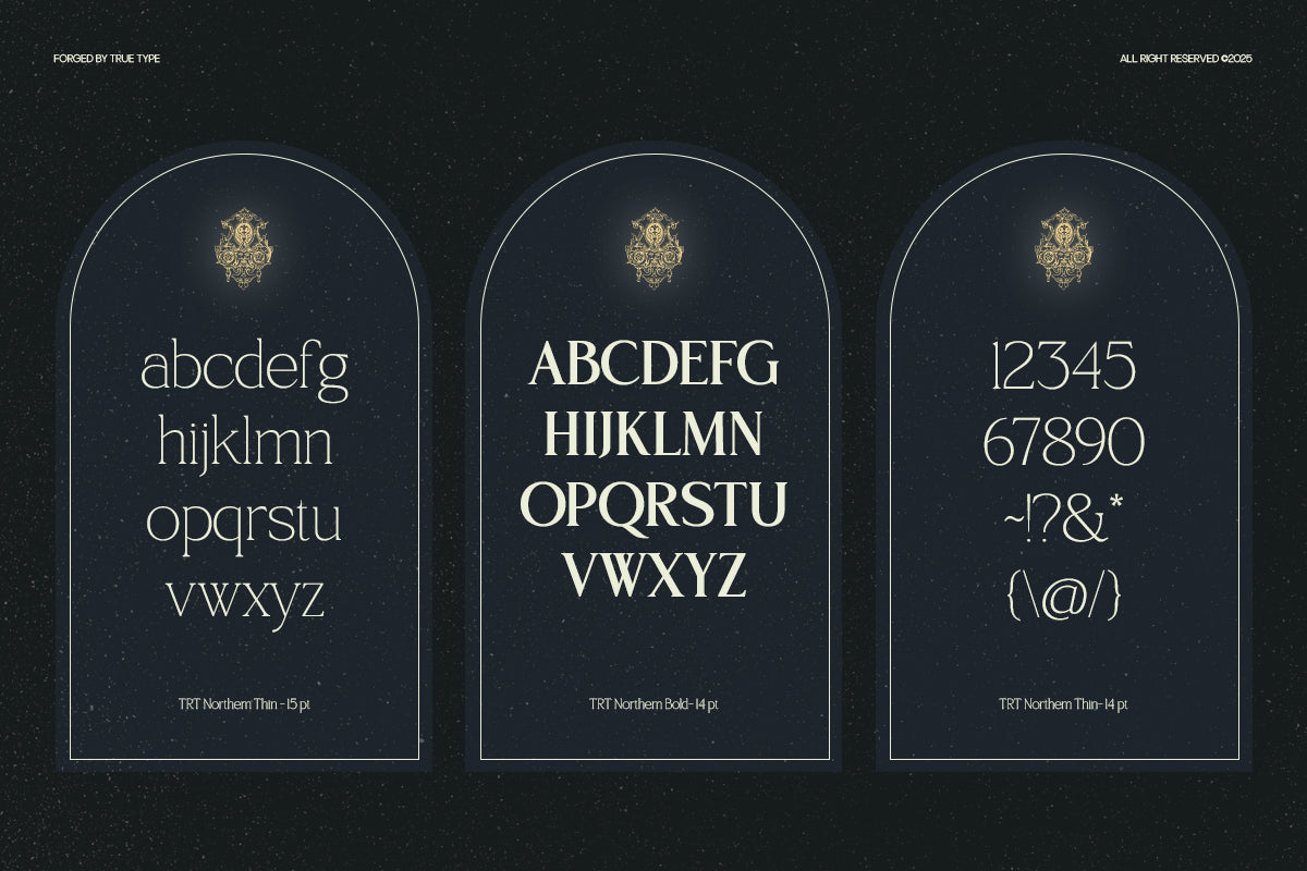 trt-northem-elegant-serif-font-family-unknown-creator-11.png