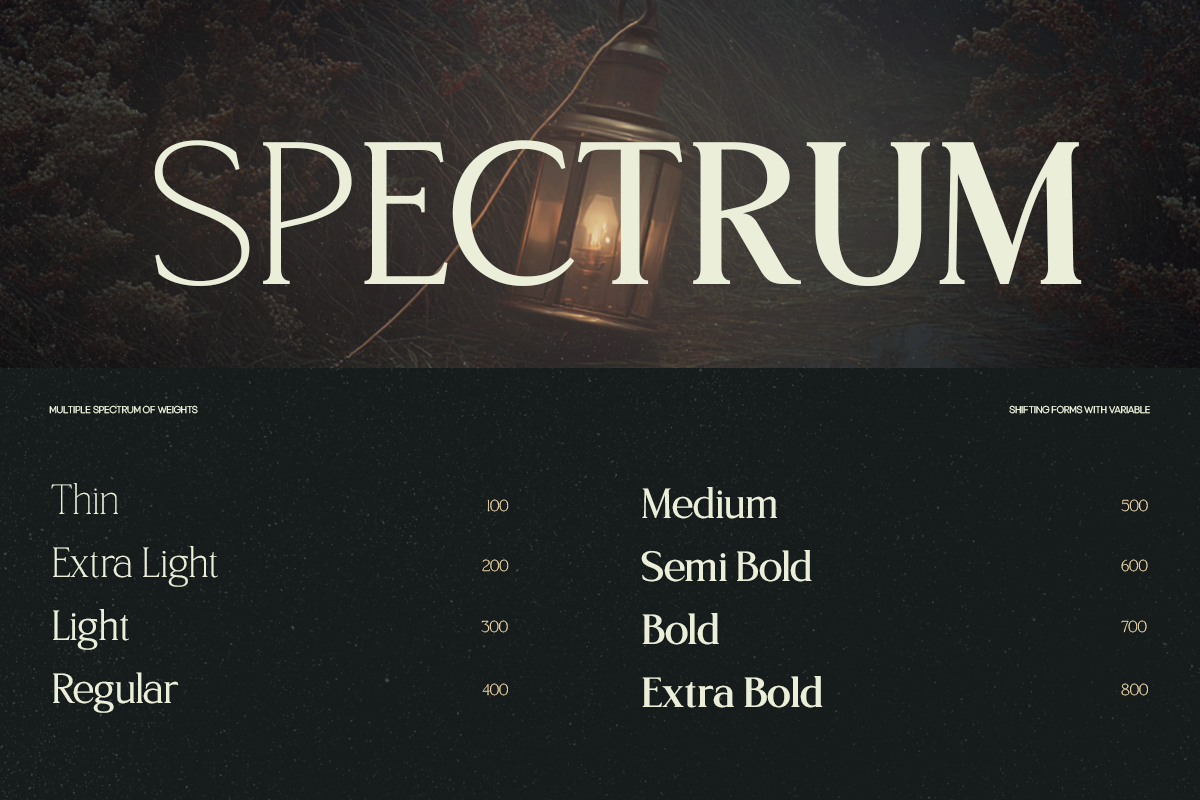 trt-northem-elegant-serif-font-family-unknown-creator-2.png