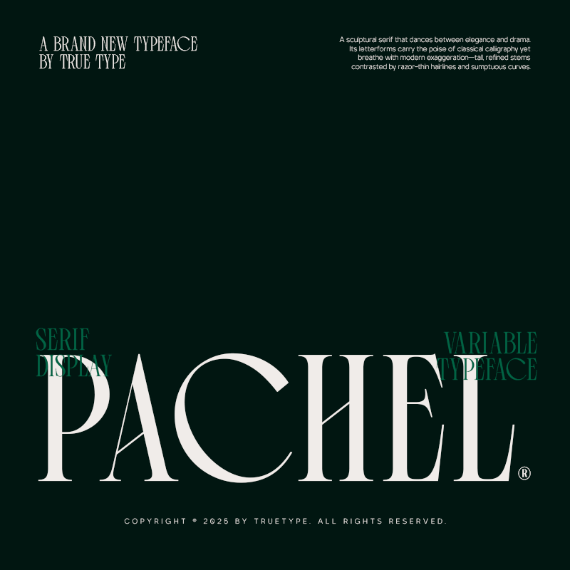 trt-pachel-luxury-editorial-serif-font-unknown-creator-1.png