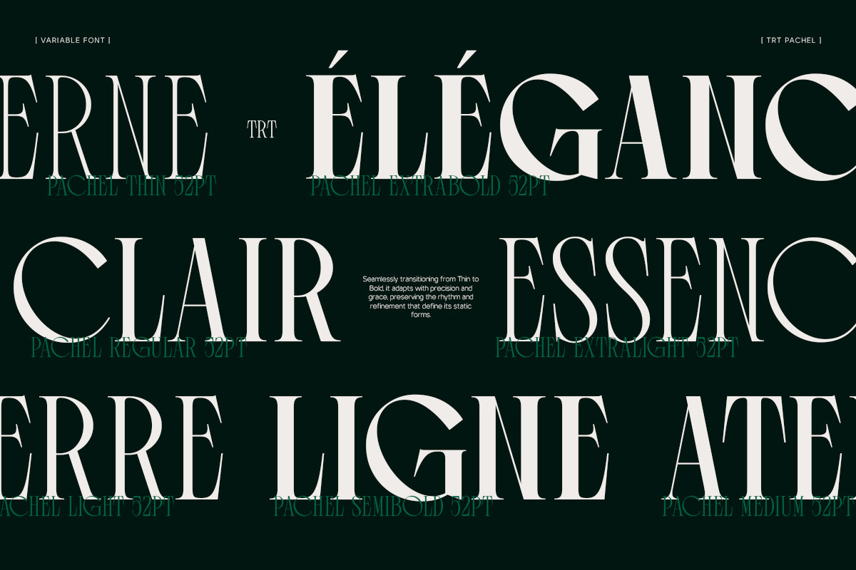 trt-pachel-luxury-editorial-serif-font-unknown-creator-6.png