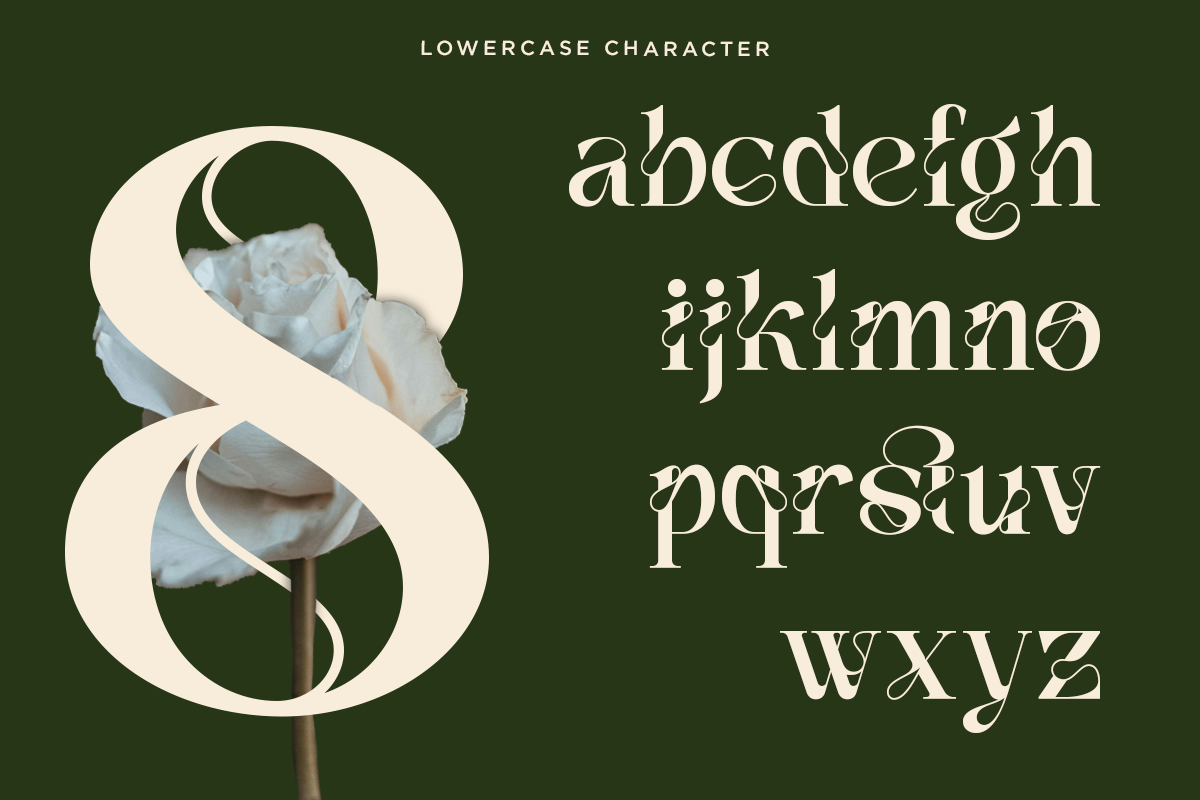 vanelo-luxury-logo-serif-font-say-studio-11.png