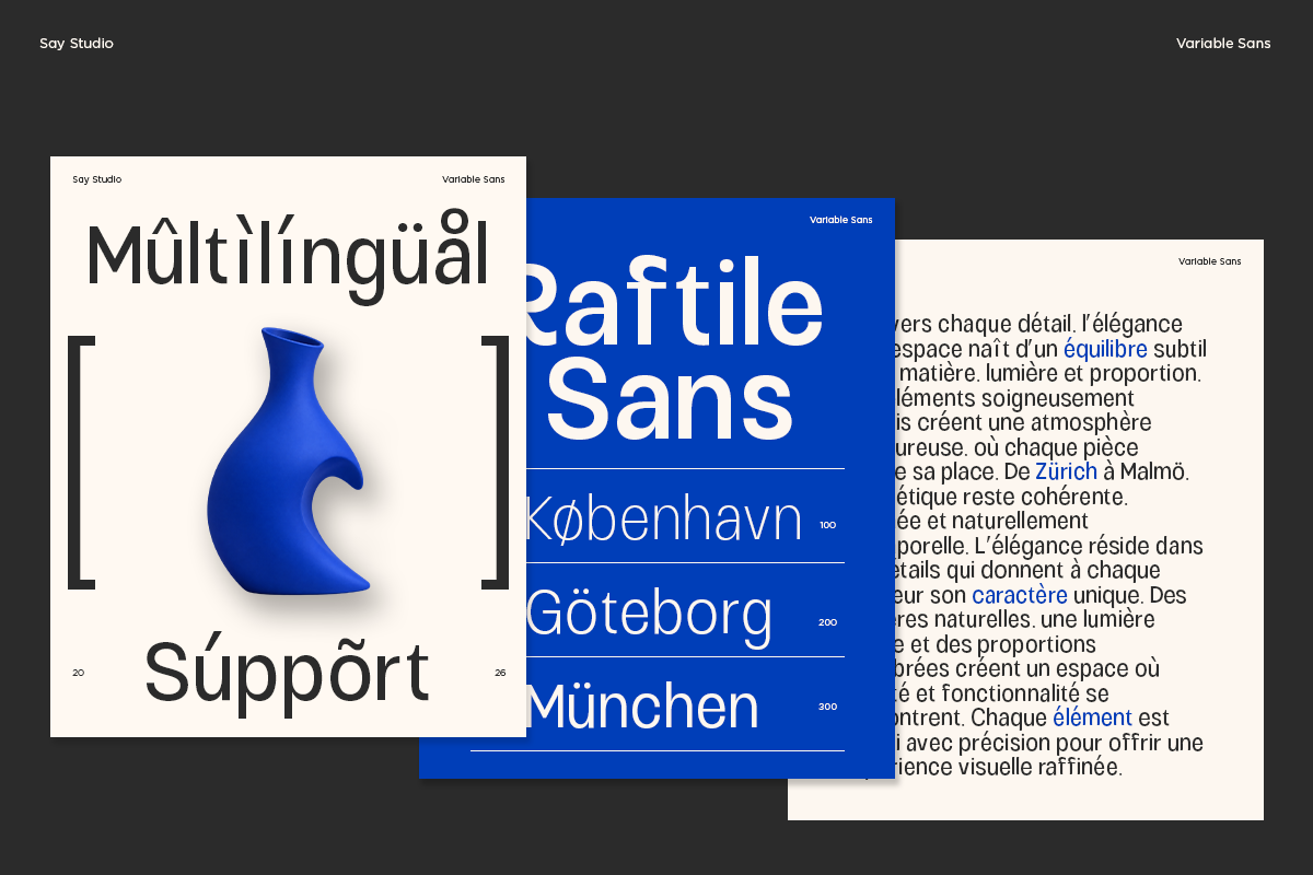 variable-sans-serif-font-family-raftile-say-studio-6.png