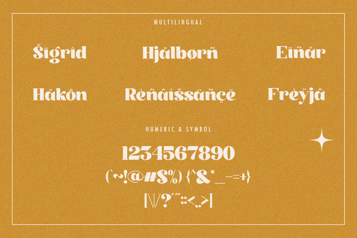 vastile-decorative-serif-font-say-studio-11.png