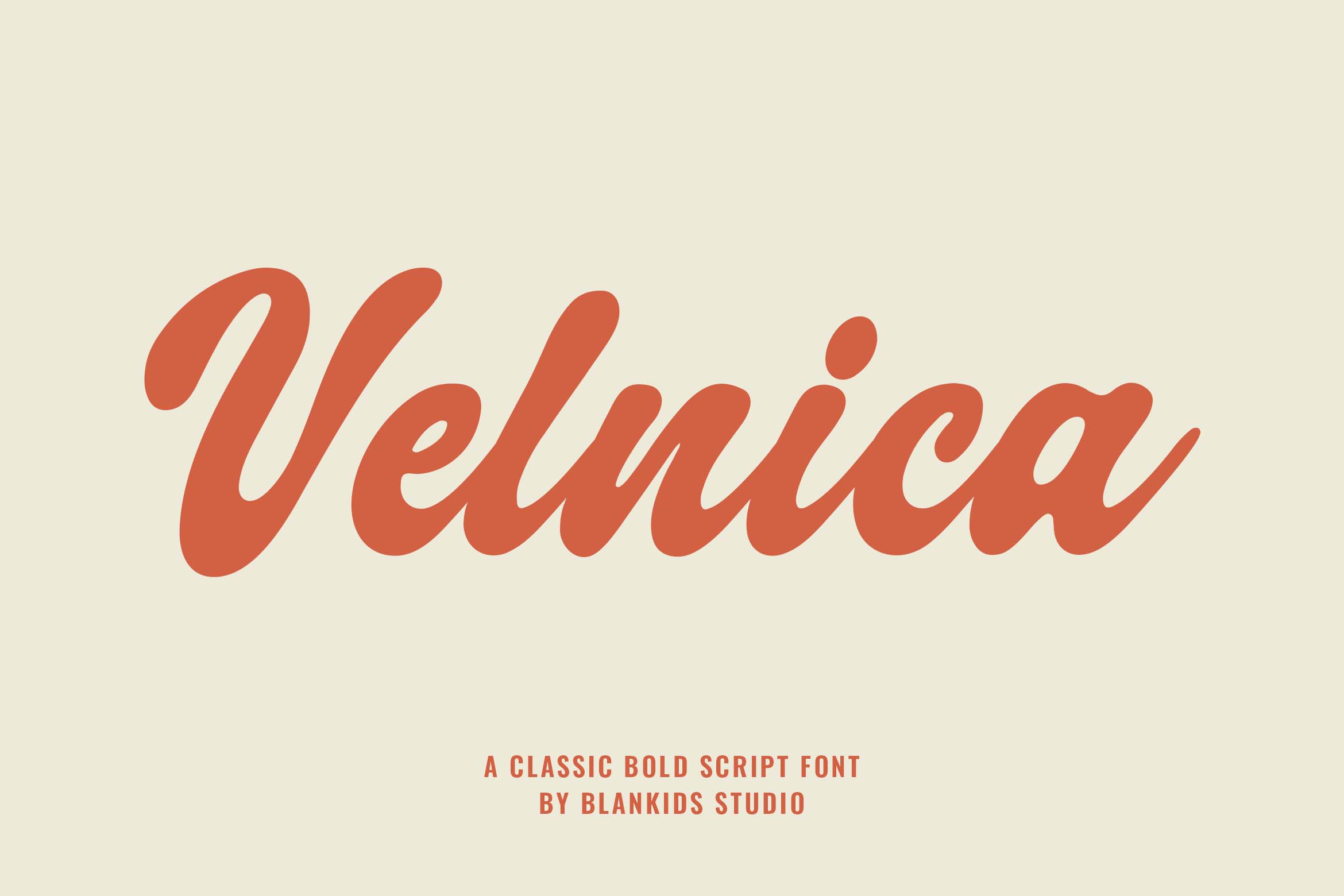 velnica-a-classic-bold-script-font-blankids-3.jpg