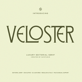 Veloster - Logo Serif Branding Font