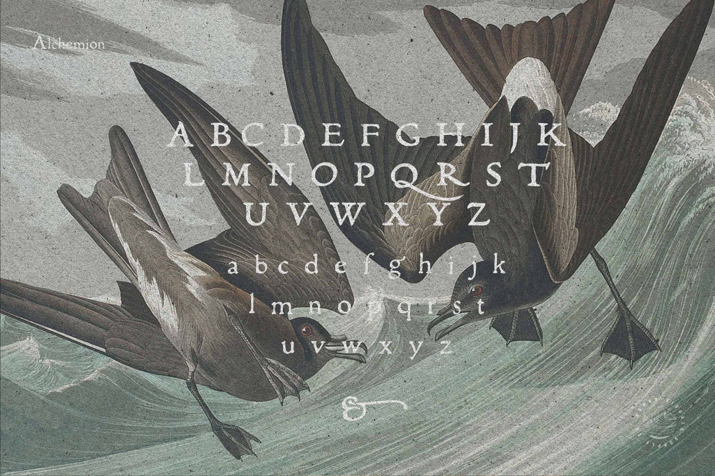 Vintage Logo Creator Kit