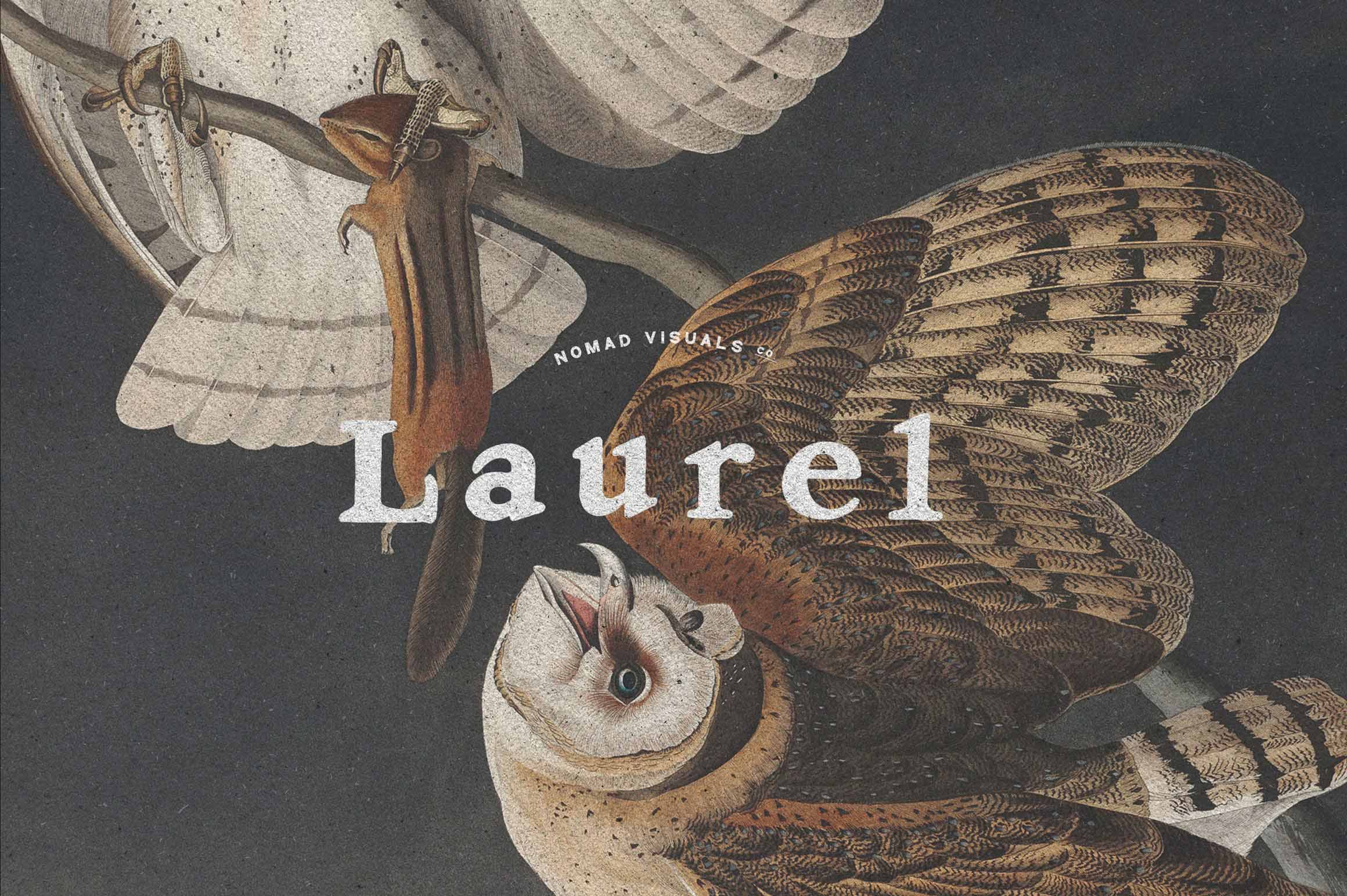 Vintage Logo Creator Kit