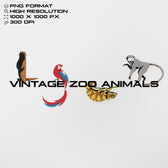 Vintage Zoo Animals