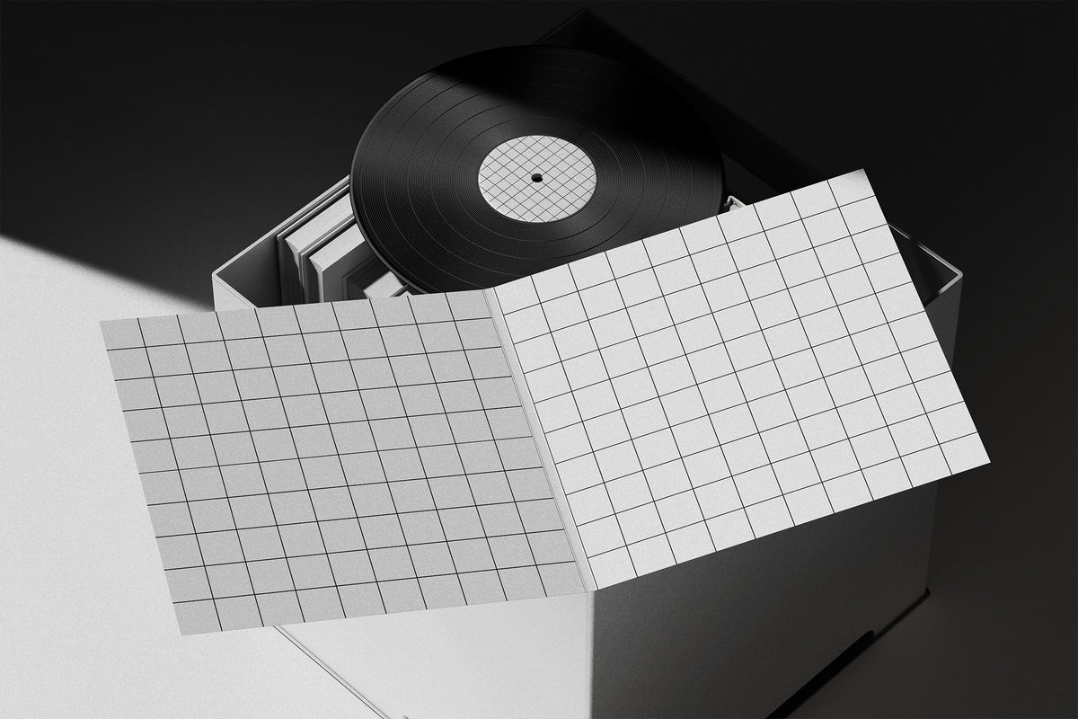 vinyl-mockup-morrobati-4.jpg