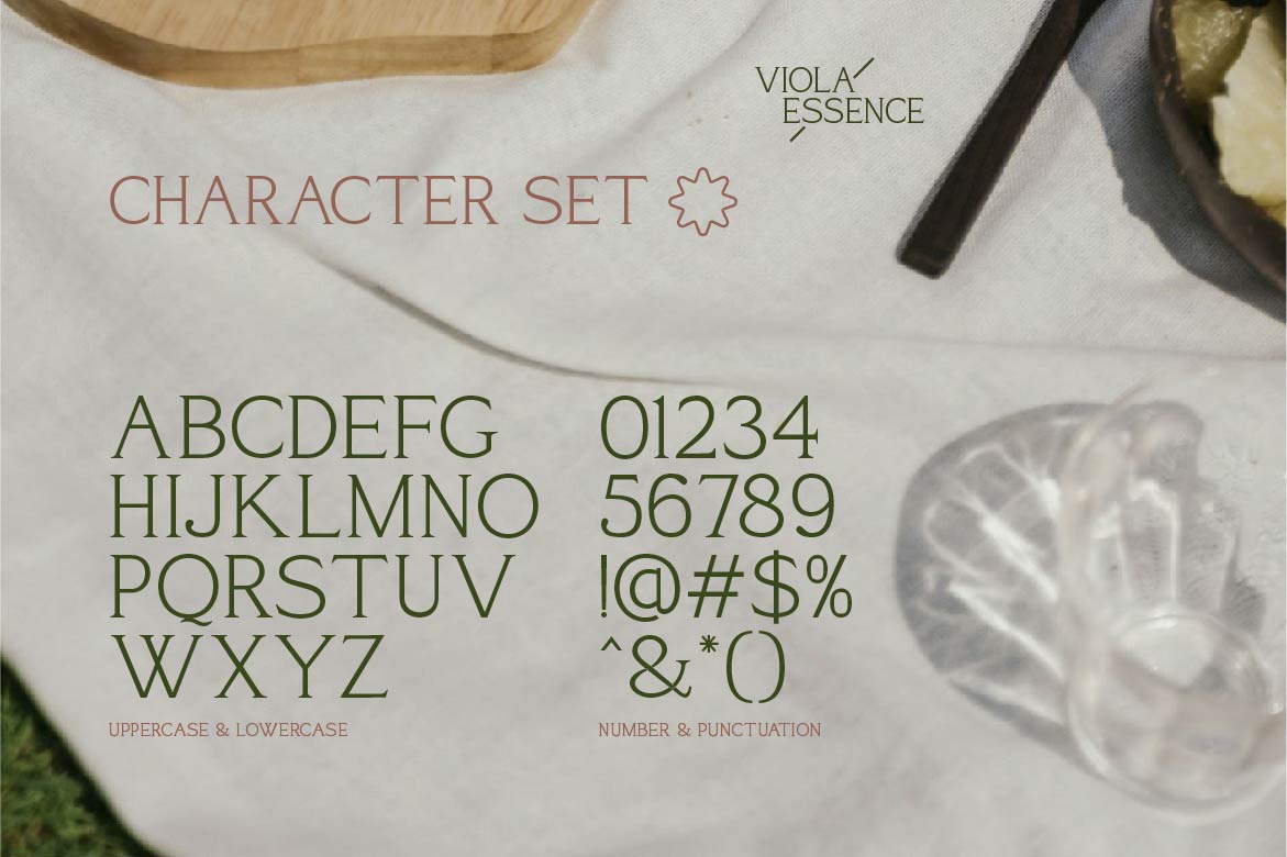 viola-essence-creative-serif-font-vadova-studio-2.jpg