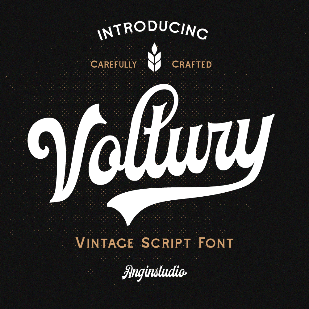 voltury-vintage-bold-script-fonts-angin-studio-1.png