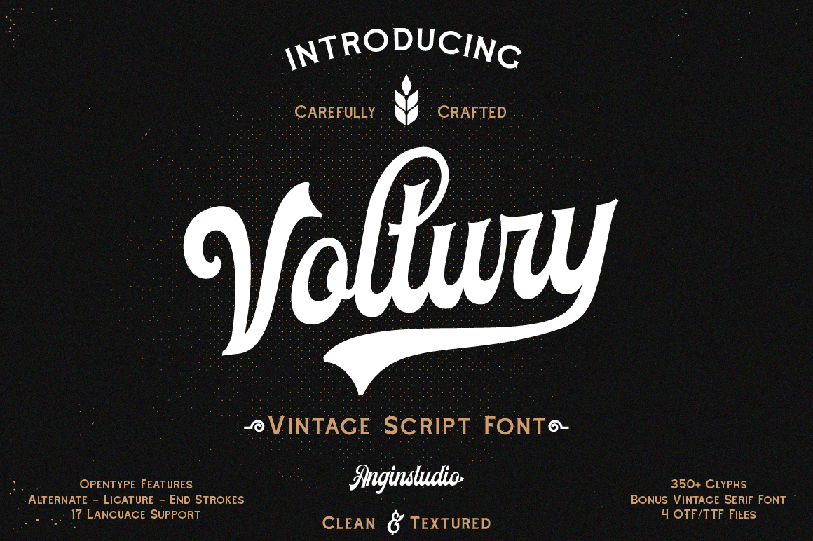 voltury-vintage-bold-script-fonts-angin-studio-2.png