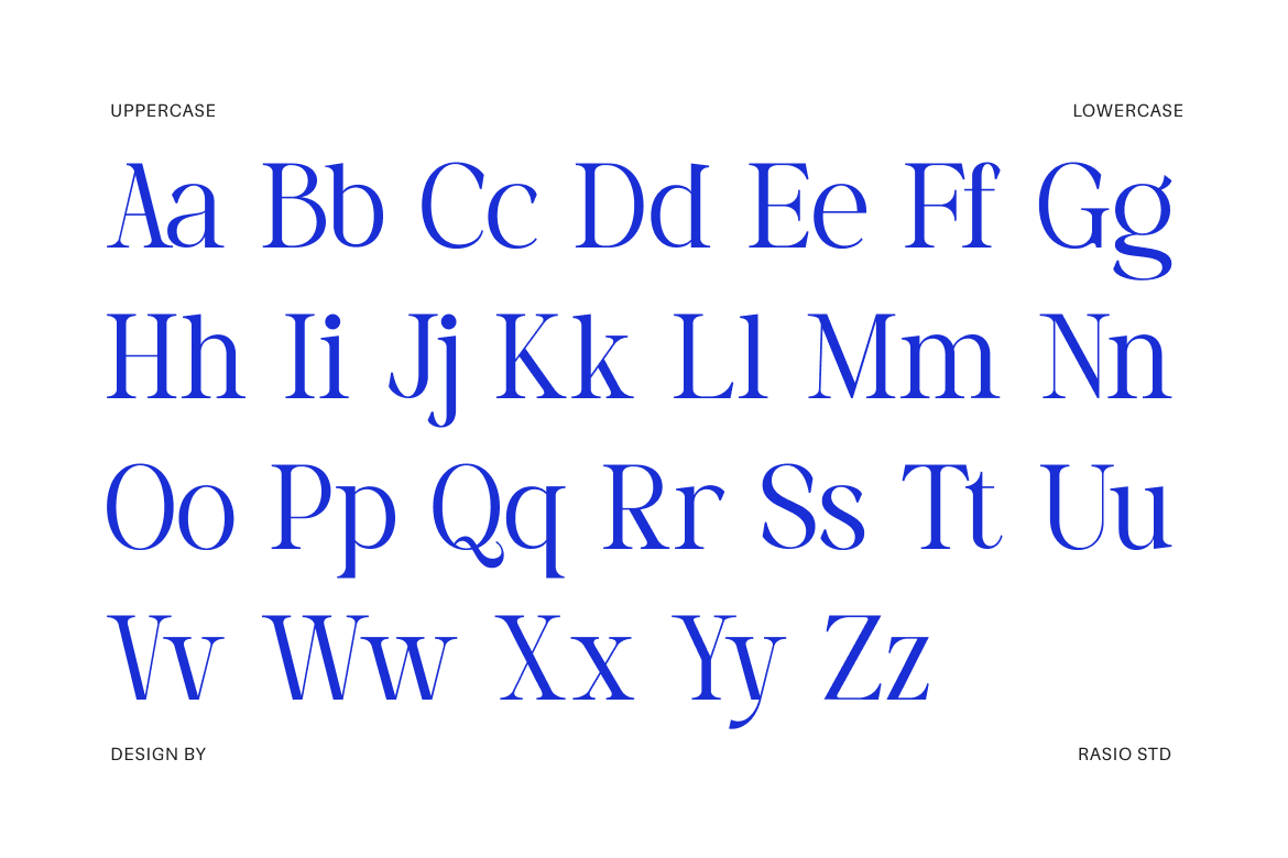 vorello-modern-editorial-serif-font-rasio-std-2.png