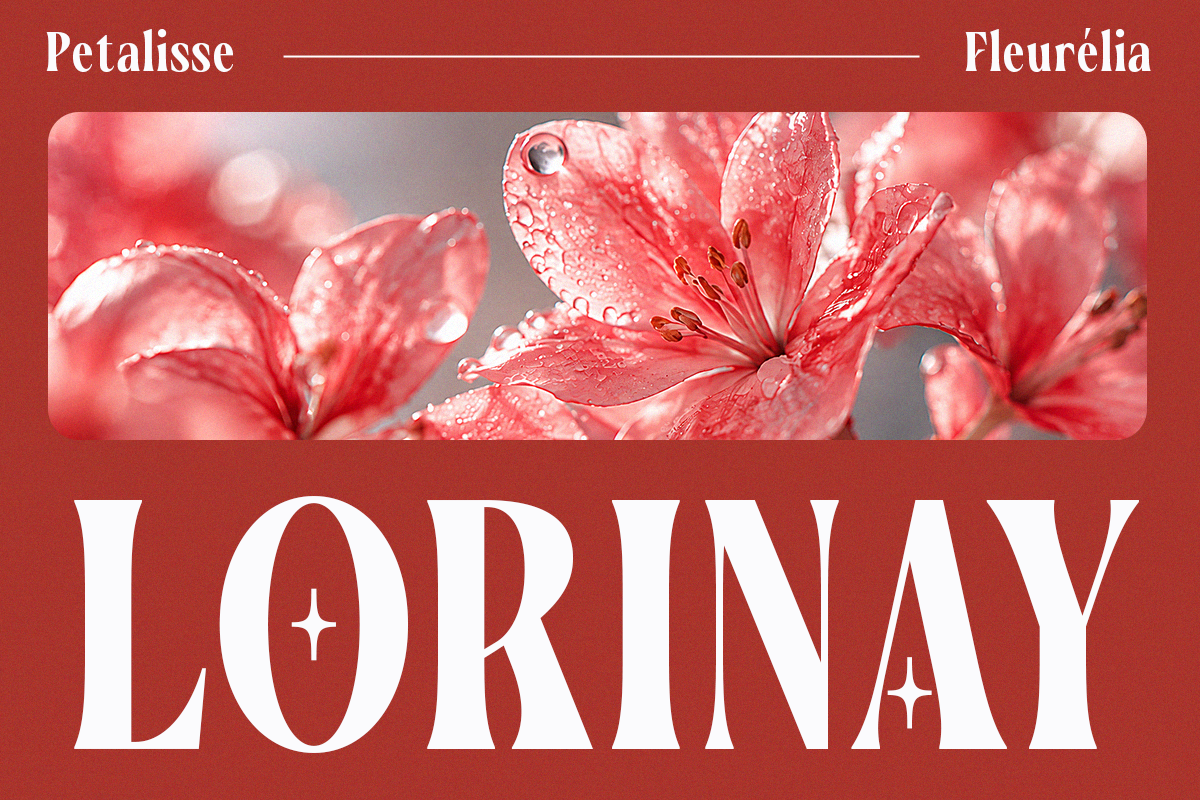 vorseta-luxury-condensed-serif-font-say-studio-4.png
