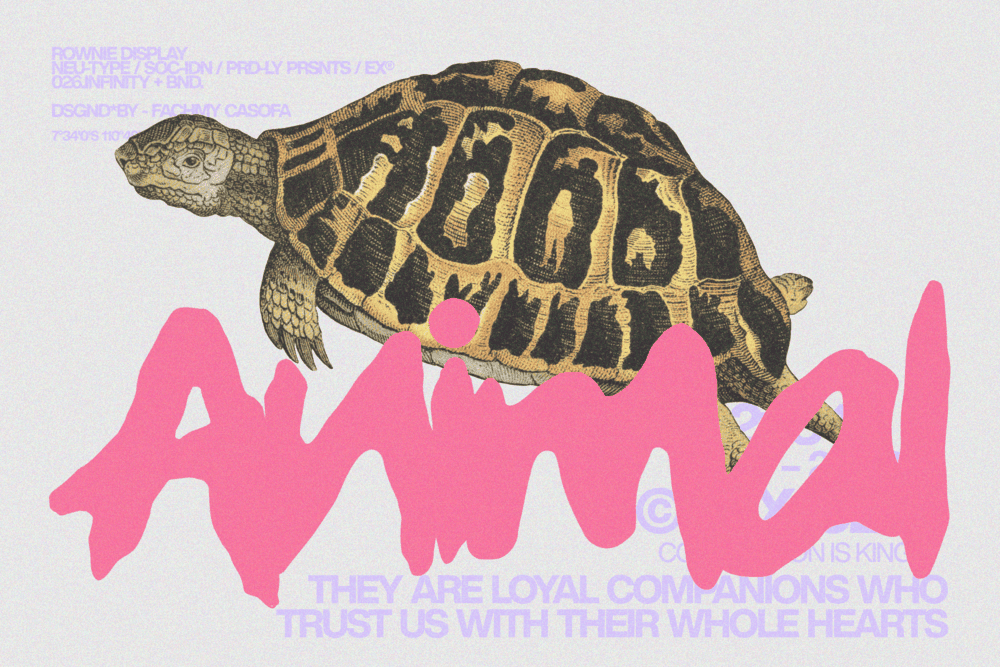 wodien-imperfect-handdrawn-branding-font-enxyclo-studio-6.png