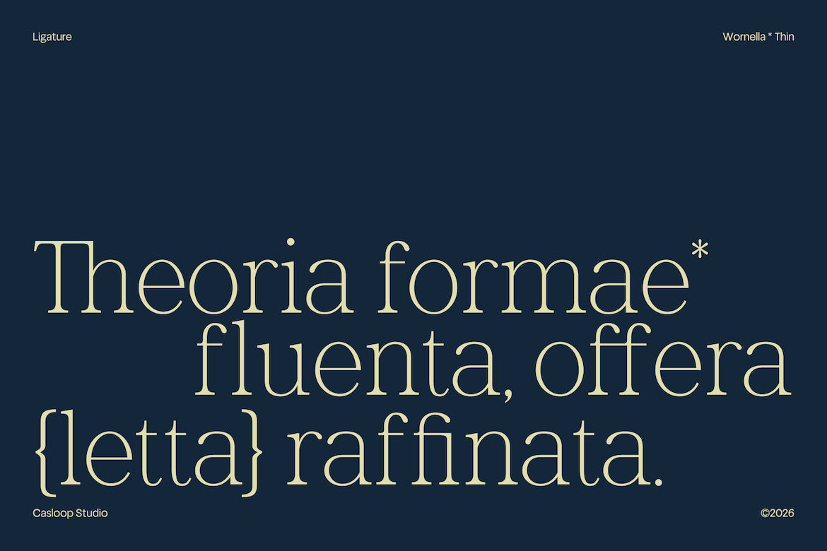 wornella-modern-classy-serif-font-casloop-studio-9.jpg