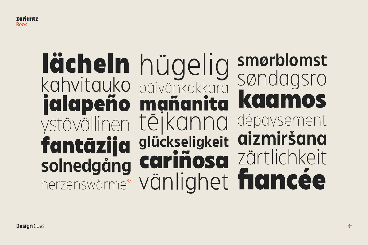 zariantz-book-editorial-modern-sans-variable-font-unknown-creator-9.png