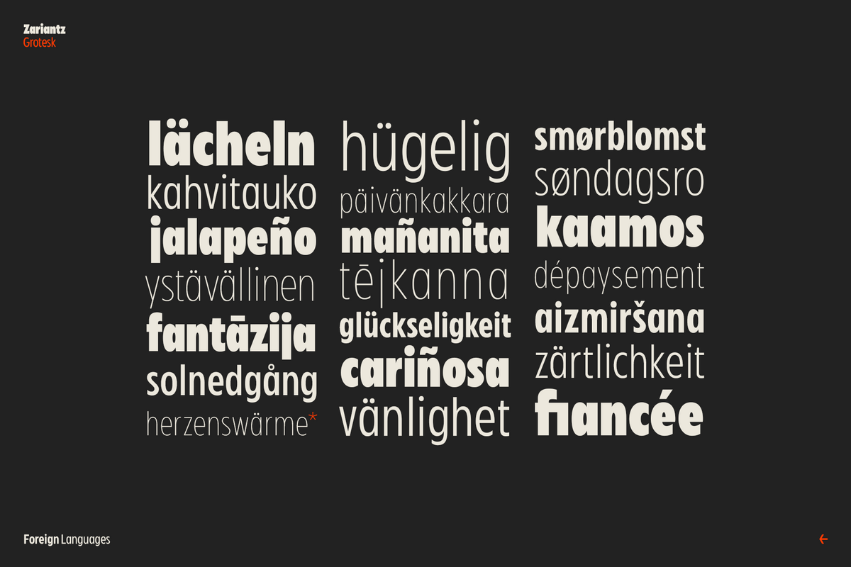 zariantz-grotesk-modern-humanist-sans-variable-font-unknown-creator-8.png