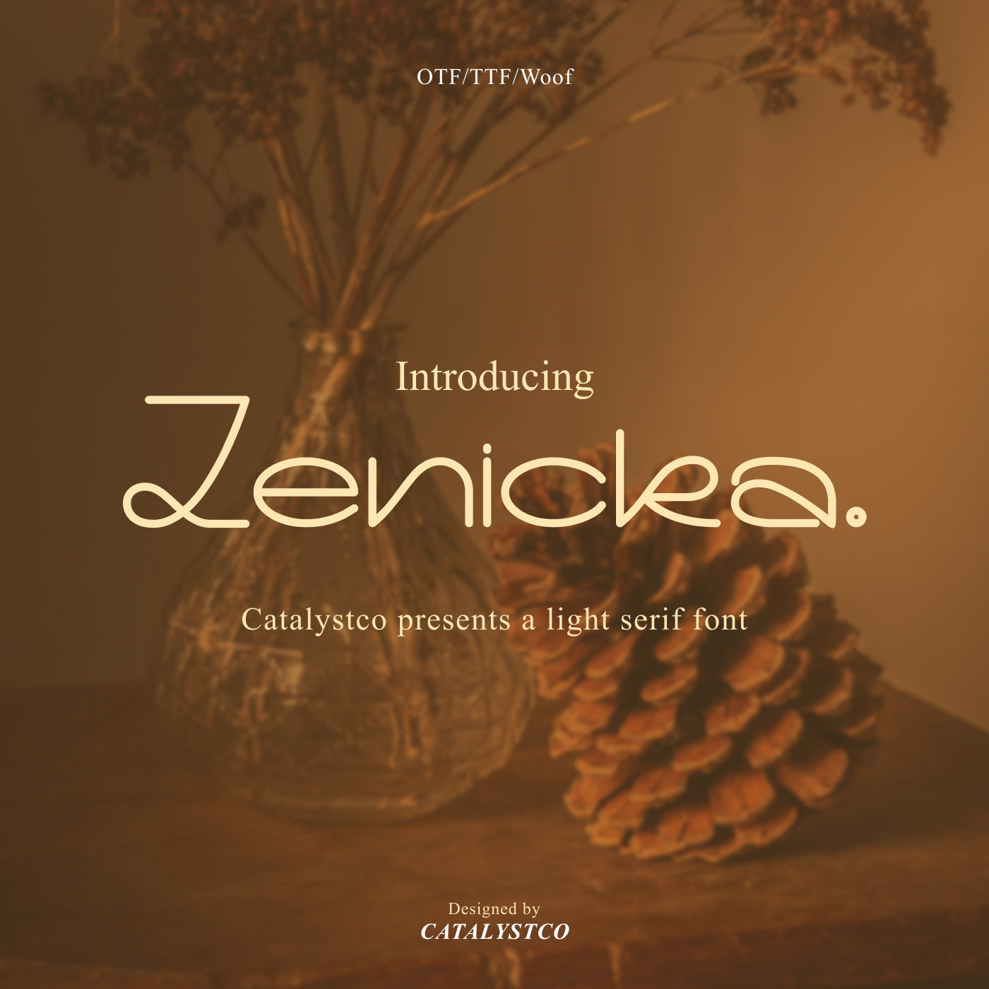 zenicka-light-serif-font-catalystco-studio-1.jpg
