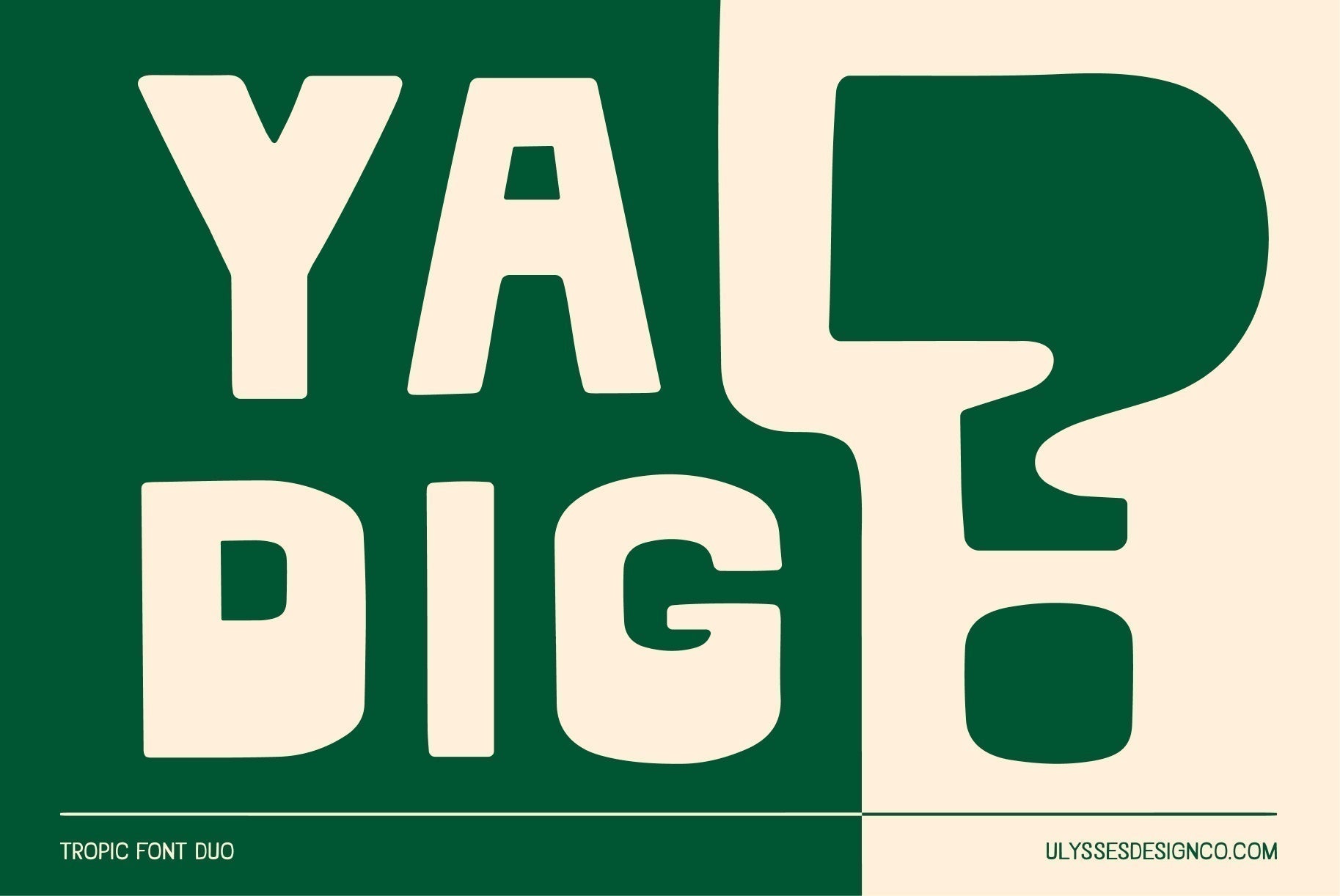 Sans Serif Fonts That Actually Work for Brand Design