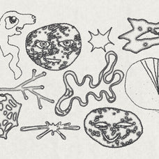 120 Acidrawl Graphic Pack