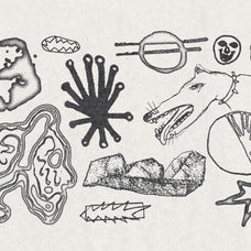 120 Acidrawl Graphic Pack