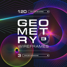 120 Geometric Vectors