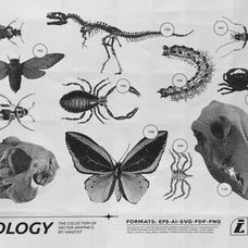 125 Vector Bitmap Assets - Biology