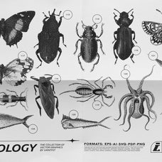 125 Vector Bitmap Assets - Biology