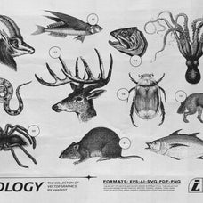 125 Vector Bitmap Assets - Biology