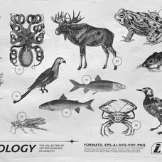 125 Vector Bitmap Assets - Biology