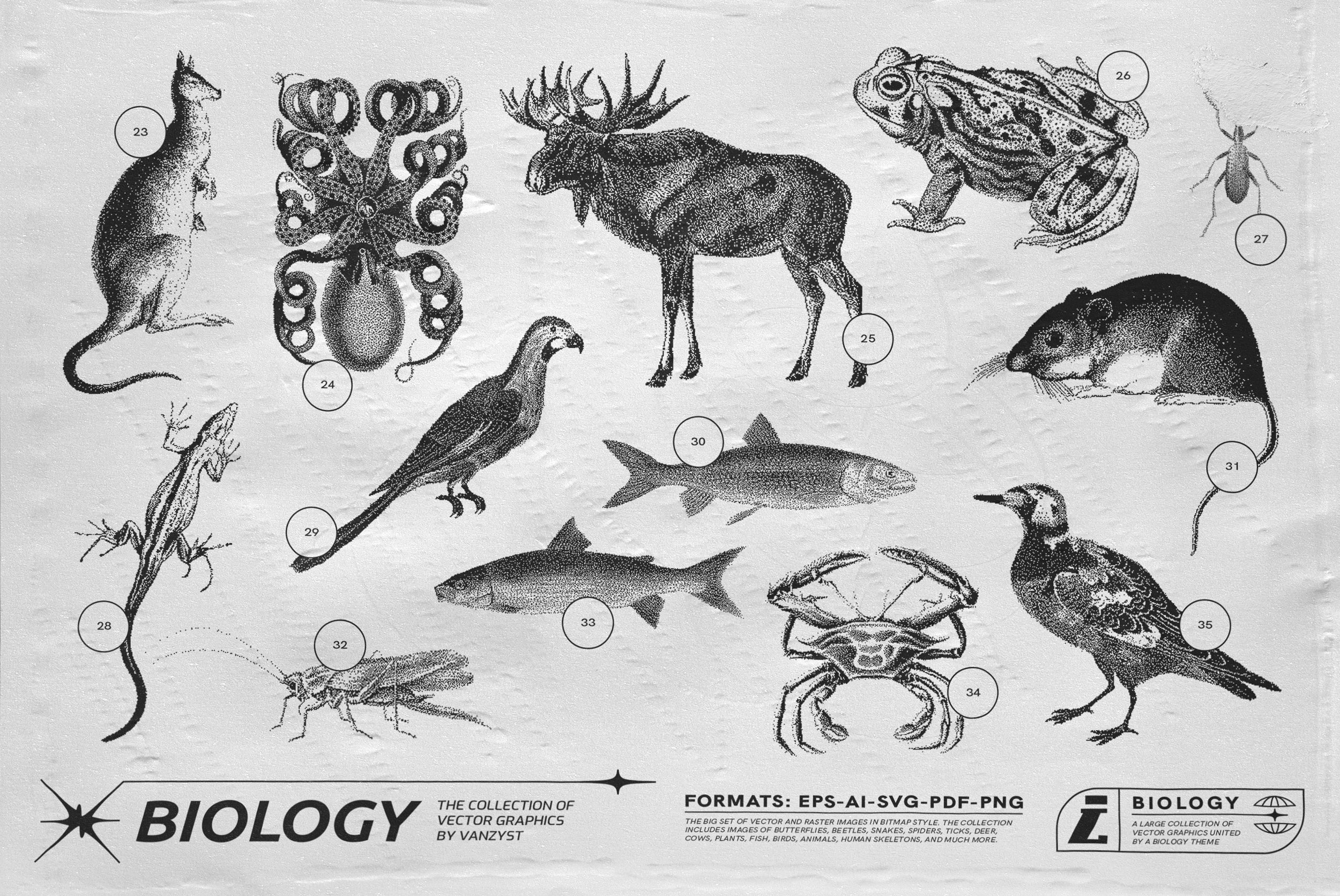 125 Vector Bitmap Assets - Biology