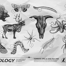 125 Vector Bitmap Assets - Biology