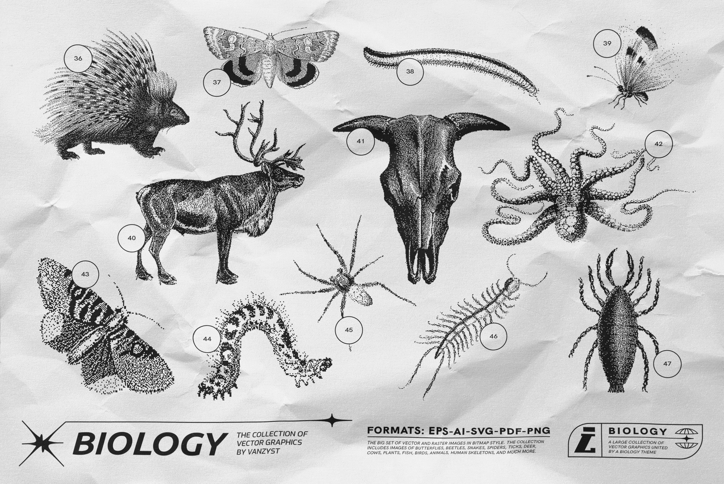 125 Vector Bitmap Assets - Biology