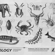 125 Vector Bitmap Assets - Biology