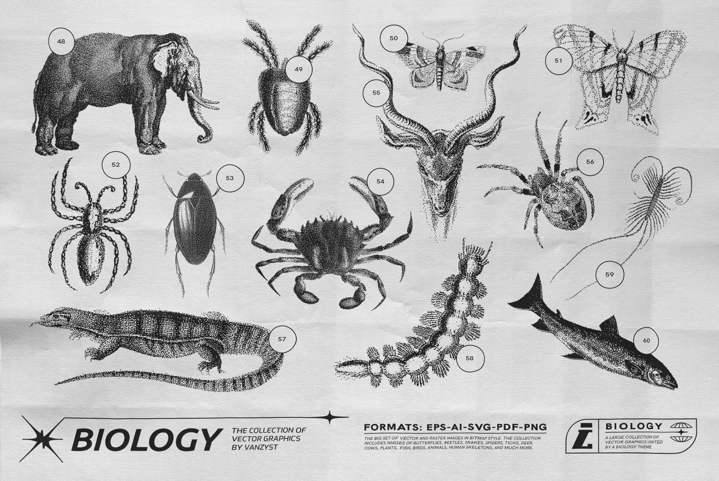 125 Vector Bitmap Assets - Biology