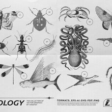 125 Vector Bitmap Assets - Biology