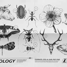 125 Vector Bitmap Assets - Biology