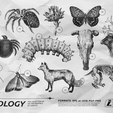 125 Vector Bitmap Assets - Biology