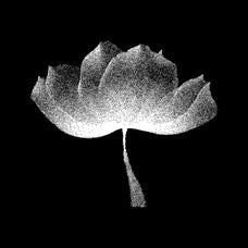 144 Dithering Bitmap Vector Shapes Collection